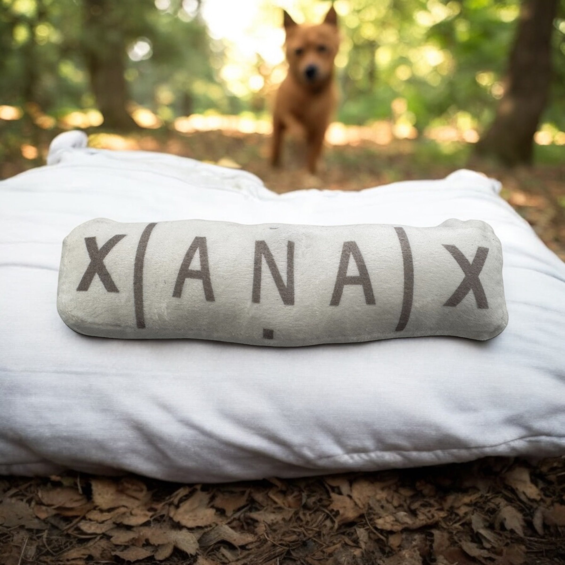 Dog Toy – Tablet Shape - Xanax, 20cm x 5cm with Squeaker Element