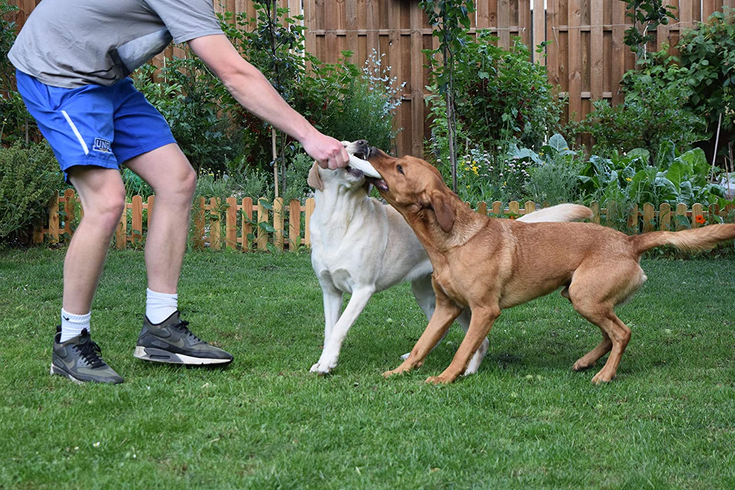 Plüschjoint Spielzeug für Hunde | Quietsch Stofftier | Cannabis Zigarette 420 Lifestyle Geschenk