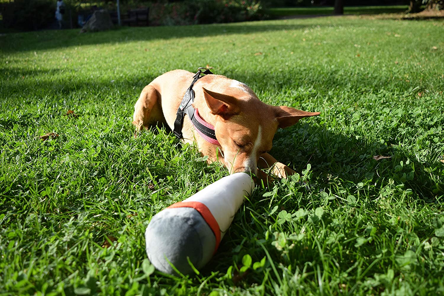 ¡Juguete de peluche con elemento sonoro - El juguete divertido definitivo para mascotas!