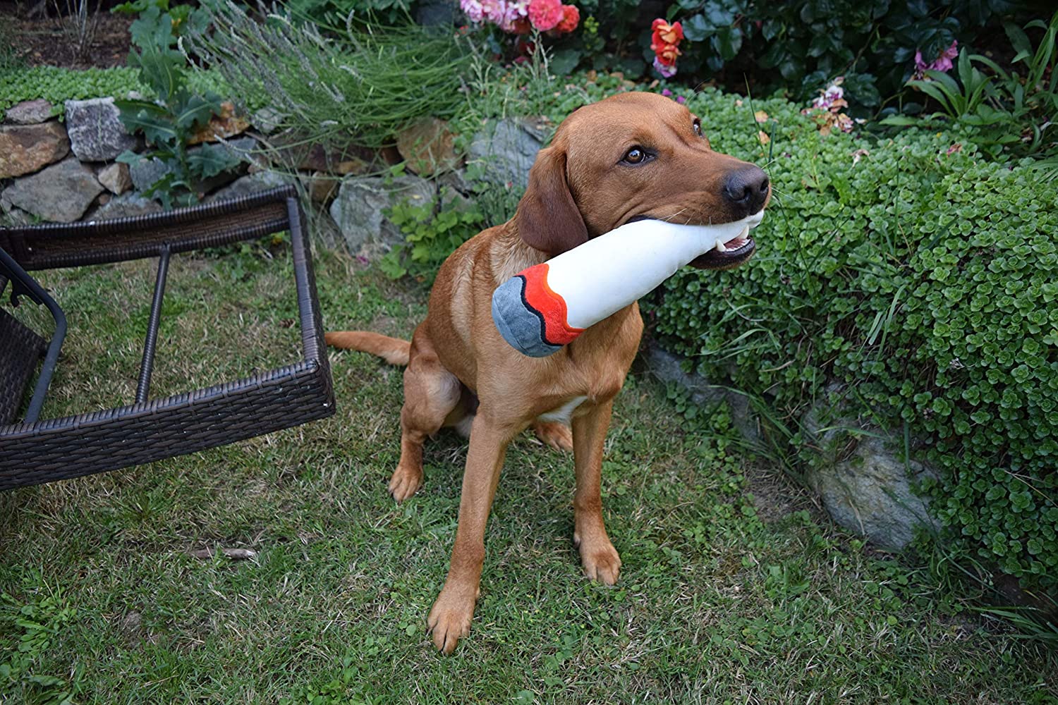 Pluche Joint met Piepelement – Het ultieme speelgoed voor huisdieren!