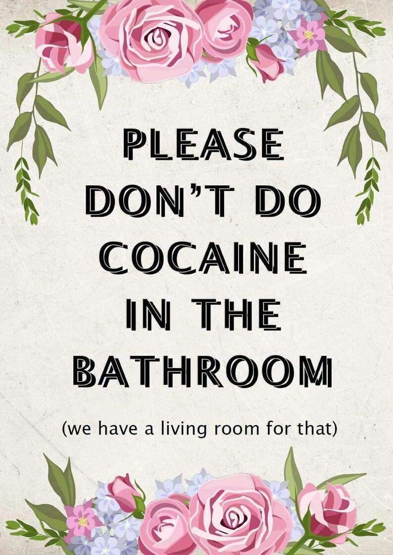 Poster/Plakat A3 „Please don‘t cocaine in the Bathroom - we have a Livingroom for that“ Fun Roses Badezimmer Romantic inkl. Rahmen in weiß